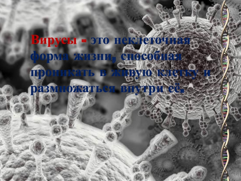 Вирусы - это неклеточная форма жизни, способная проникать в живую клетку и размножаться внутри её.