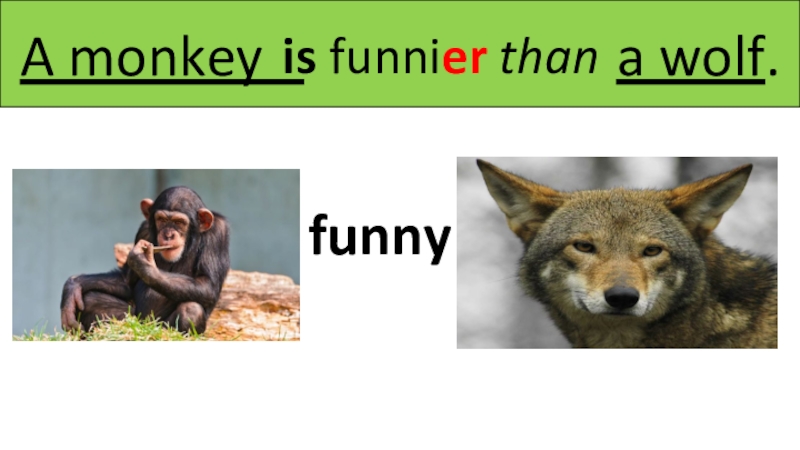 Funny than. 24 апреля день рождения.