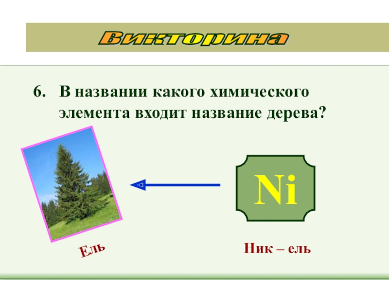 Войти назвать. В названии какого химического элемента входит название дерева. Название дерева хим элемент. Какой химический элемент входит в название дерева?. Какой химический элемент называется как лес.