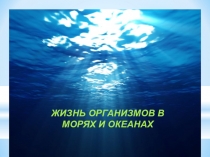 Презентация Жизнь организмов в океане биология 5 класс