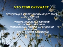 Презентация по окружающему миру