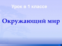 Презентация к уроку окружающего мира Почему нужно чистить зубы и мыть руки?