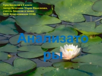 Презентация по теме анализатор