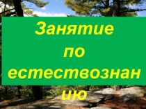Презентация для конспекта на курсы