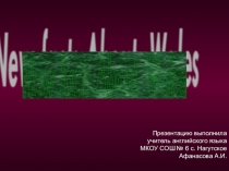 Презентация “New facts about Wales”