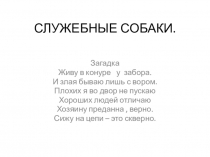 Презентация по экологии для детей среднего возраста