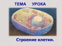 Презентация к уроку Клетка
