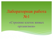 Презентация по биологии 6 класс Лабораторная работа №1 Строение клеток живых организмов.