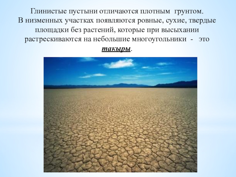 Тест по окружающему 4 класс зона пустынь. Глинистые пустыни растения. Глинистые пустыни названия. Презентация глинистые пустыни. Зона пустыни 4 класс окружающий мир.