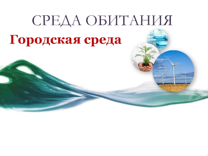 Презентация Презентация по экологии: Городская среда