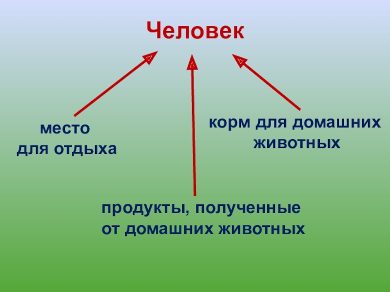 Презентация по окружающему миру 4 класс жизнь луга