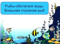 Презентация к уроку биологии 7 класс Внешнее строение рыб