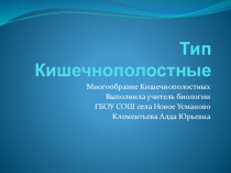Презентация к уроку Многообразие Кишечнополостных