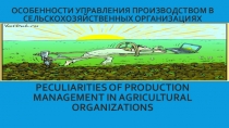 Презентация к докладу Особенности управления производством в сельскохозяйственных организациях
