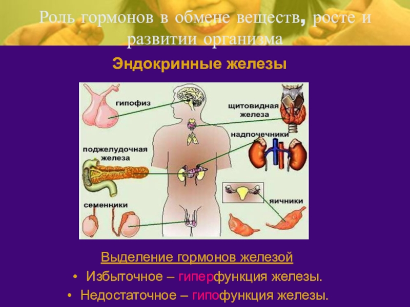 Раскройте роль гормонов в обмене веществ росте. Система желёз внутренней секреции. Гормоны желёз внутренней секреции. Эндокринная система железы и гормоны. Эндокринная система железы внутренней секреции.