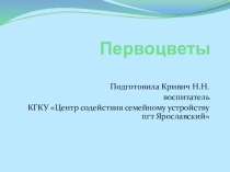 Презентация по теме Первоцветы