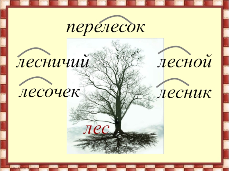 Река однокоренные слова. Словарь однокоренных слов 2 класс. Словарь однокоренных слов 3 класс. Корень слова однокоренные слова 2 класс презентация. Словарь однокоренных слов русского языка 2 класс.