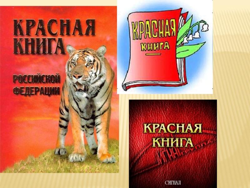 Твоя красная книга. Красная книга России. Надпись красная книга. Эмблема красной книги. Красная книга РСО-Алания.