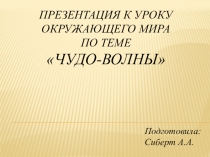 Презентация по окружающему миру на тему Чудо-Волны (4 класс)