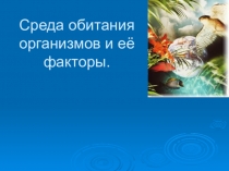 Презентация по биологии 11 класс Экология. Среда обитания и факторы сред обитания