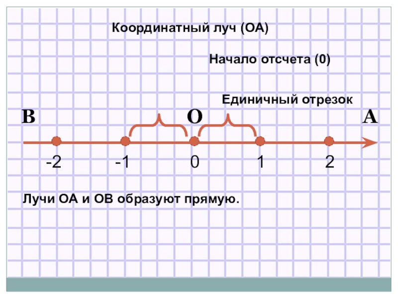 012Координатный луч (ОА)Начало отсчета (0)ОАВЛучи ОА и ОВ образуют прямую.Единичный отрезок