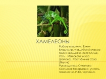 Презентация по внеурочной деятельности Хамелеоны Ёлхина Владимира, учащегося 5 класса