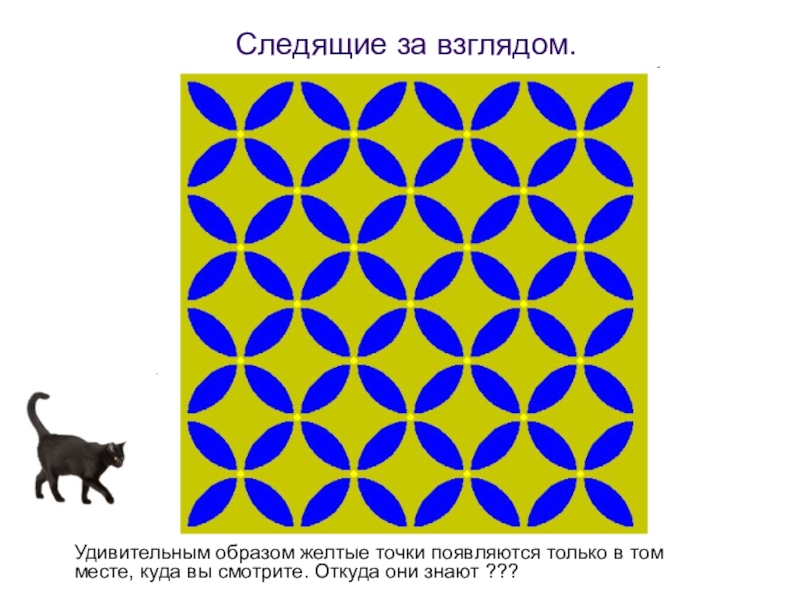 Картинка не верь своим глазам