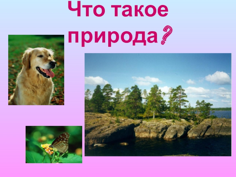 Что такое природа 5 класс презентация