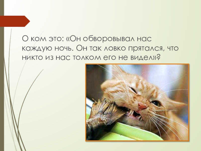 О ком это: «Он обворовывал нас каждую ночь. Он так ловко прятался, что никто из нас толком