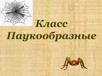 Тип : членистоногие. Класс: паукообразные, 7класс