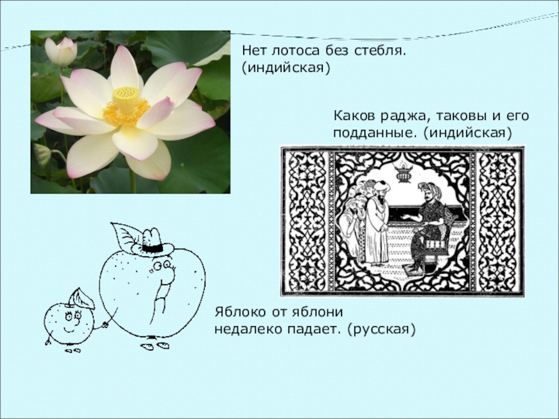 Лотос друг солнца писали в священных книгах индии схема предложения