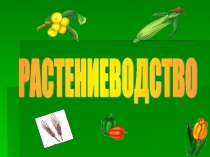 Презентация к уроку окружающий мир на тему Растениеводство(3класс)