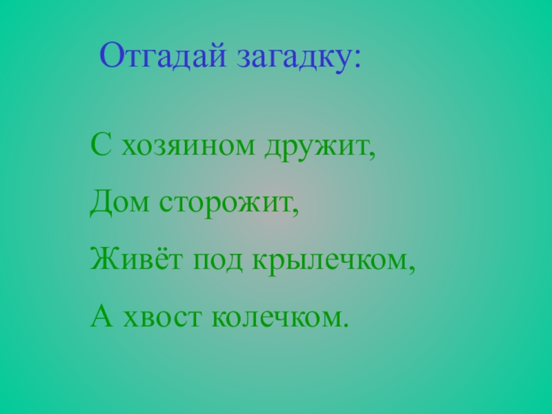 С хозяином дружит дом. Загадка с хозяином дружит дом сторожит. С хозяином дружит дом сторожит живёт под крылечком а хвост колечком. Живёт под крылечком хвост колечком отгадай загадку. С хозяином дружит загадку списать.