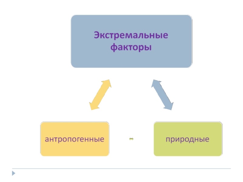 Влияние экстремальных факторов на организм человека презентация