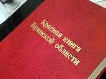 Внеклассное мероприятие по окружающему миру  Красная книга. Правила поведения в природе 3 класс 1 часть