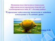 Трудовая деятельность