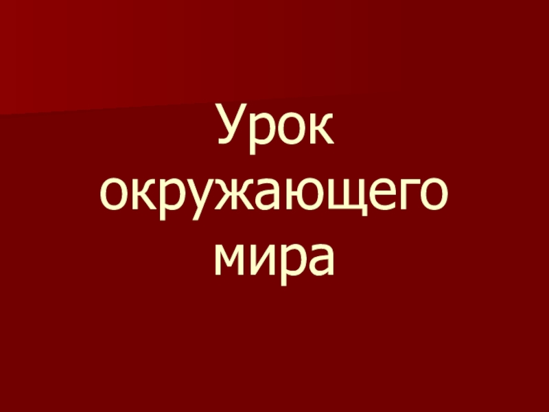 Презентация окружающий мир Пожар