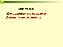 Презентация по окружающему миру на тему Декоративные растения. Комнатные растения