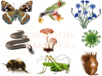 Презентация для подготовки к ГИА по биологии Разделы биологи