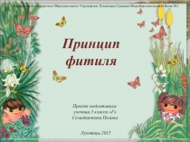 Проект на тему Принцип фитиля