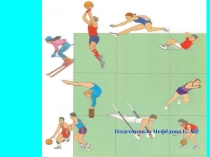 Презентация Виды физической культуры