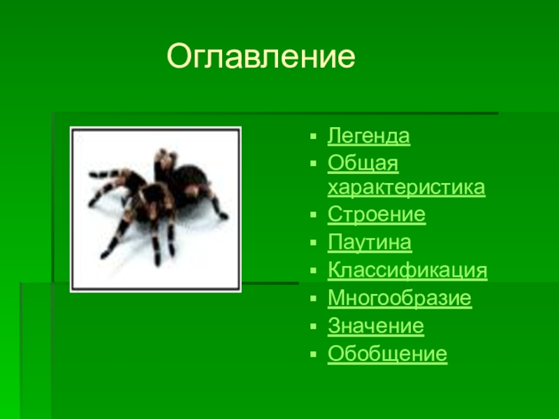 Паукообразные презентация 7 класс