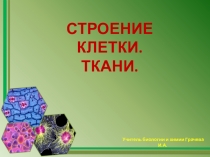 Презентация к уроку Строение клетки. Ткани.