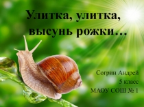 Исследовательская работа ученика 5 класса Согрина Андрея МАОУ СОШ№1, призера Городского конкурса исследовательских работ Первые шаги по теме: Улитка, улитка, высунь рожки...
