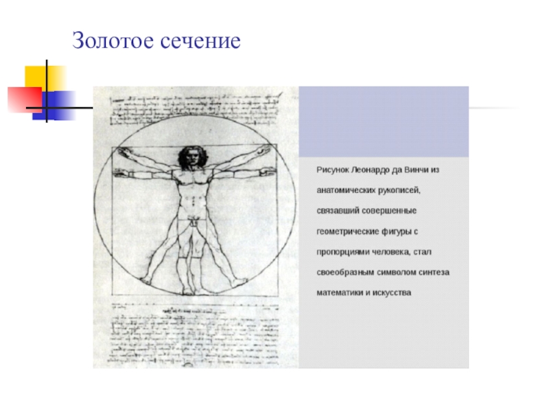 Математика в искусстве. Математика в искусстве золотое сечение. Золотое сечение в искусстве проект. Математика в искусстве реферат. Математика в искусстве доклад.