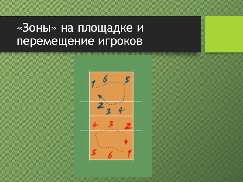 Номера в волейболе. Зоны в волейболе на площадке. «Зоны» на площадке и перемещение игроков. Зоны на площадке и перемещение игроков в волейболе. Расположение зон на площадке в волейболе.