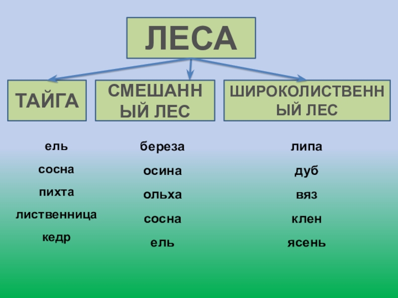 Окружающий мир 4 класс тест леса россии