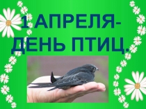 День птиц презентация для внеклассного мероприятия по биологии.