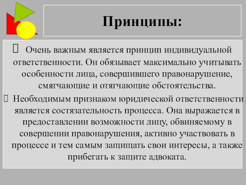 Отдельный принцип. Принцип индивидуальной ответственности. Принцип. Принцип справедливости юридической ответственности. Принципы это в обществознании.