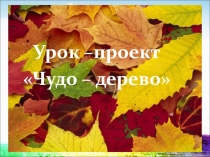 Презентация к уроку технологии Чудо-дерево